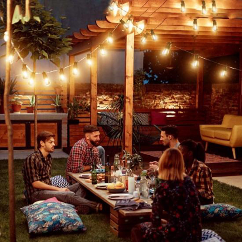 More about Festoon Lighting