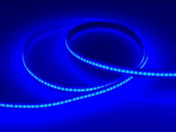 COB-RGBW Chip On Board Blue LED Strip Light 24V